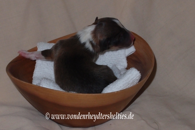 19.06.2014  14.00 Uhr  A-Wurf  A3